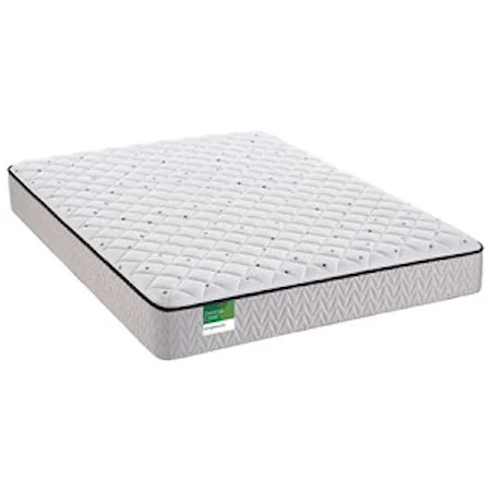 Queen 10" Plush Innerspring Mattress